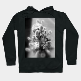 wildflower bouquet, black and white Hoodie